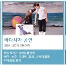 오름스카이 이미지