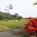 [20190607]첫째 금요 정기 라운드 공지(블루원 디 아너스CC) 이미지