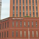 음성군보건소 | 임신 준비 A형 B형 간염 항체 검사 및 영등포구 보건소 접종 후기