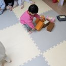 늘조은