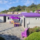 반월도퍼플펜션 이미지