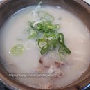 안성집 설농탕 티스토리