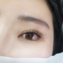 로코네로 이미지