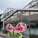 서울숲 나비정원 예약 시간 주차 / 아이와 함께 다녀온 주말 나들이 후기