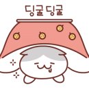 피자애 이미지