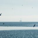 동물병원 이야기 이미지