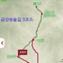 제43차 테마무박산행 경북 울진 금강소나무 3구간길 이미지