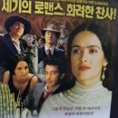 프리다 이미지