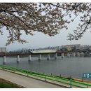 금호강변 이미지