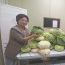 비암2리 이미지