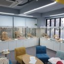 고양이미용 반하나캣 이미지