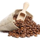 트리짐 트리태닝 이미지