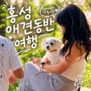 의사로43번길 | 홍성 애견동반여행, 조용한 국내 여행지 추천 홍주읍성 남당항 스카이타워