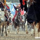 더마파크 공연장 이미지