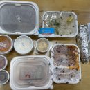 국수나무 좌동점 이미지