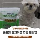 클릭 덴탈 | [강아지 덴탈껌] 굿포펫 엔자이츄 츄잉 강아지 덴탈껌