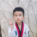 산남용인대태권도장 이미지
