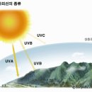 비비필름