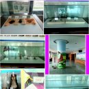 예수교대한하나님의성회은혜와진리교회 | ♡교회탐방 24(전주 은혜와진리 순복음교회)