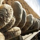 해돋이목장 이미지