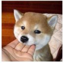 오월의햇살 이미지