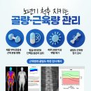 100세 청춘 척추를 결정짓는 ‘골근감소증’의 경고 이미지