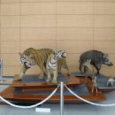 한국자연사박물관 이미지