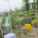 오천그린광장 이미지