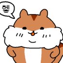 맥시칸치킨 돌산점