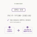 스퀘어독스 펫 이미지