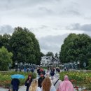 구스타브 이미지