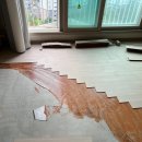 로얄워시 이미지