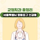 서울특별시 영등포구 신길동 교정치과 총정리