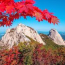 그대와 나 이미지