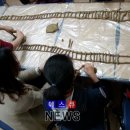 흙이랑 나무랑 이미지