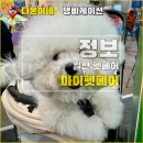 다온펫 | 일산 펫페어 킨텍스 2026 마이펫페어 part1 솔직 방문 후기