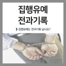 집행유예하면 빨간줄 그이는거 아닌가? 이미지