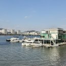 베네치아요트서울마리나 | 이색데이트 즐긴 서울로얄마리나 한강 단독 요트 투어 꿀팁 후기
