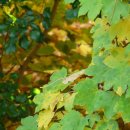 부동산 권리분석과 경매 이미지