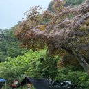 봉바위돌집캠핑장매점 | 원주 봉바위돌집캠핑장 깊은 계곡에 나무 그늘까지 여름에 딱