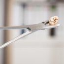 동탄바른이치과의원 이미지