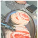 피그가든 이미지