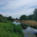 녹색중앙의원 이미지