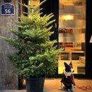 연희작업실 이미지