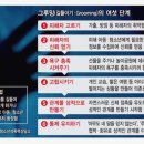 우리그루밍 이미지