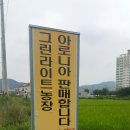 아로니아정원 이미지