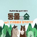 서울동물병원부설가축인공수정소 | 동물의숲 실사판)ep3. 반려동물로 말키우기와 가축사육제한구역(산꼴짜기 다람쥐가 된 말들)