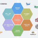 라이온 pc 이미지