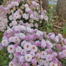 (주)재주 이미지