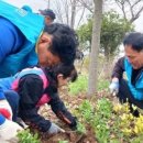 금천면 행정복지센터 네이버블로그